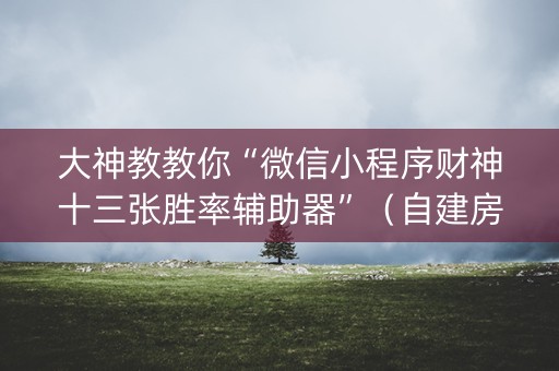 大神教教你“微信小程序财神十三张胜率辅助器”（自建房怎么拿好牌)
