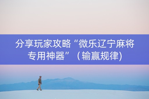 分享玩家攻略“微乐辽宁麻将专用神器”（输赢规律)