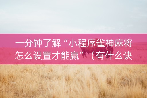 一分钟了解“小程序雀神麻将怎么设置才能赢”（有什么诀窍)
