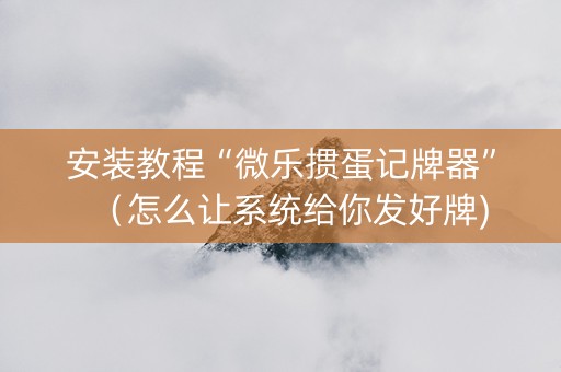 安装教程“微乐掼蛋记牌器”（怎么让系统给你发好牌)