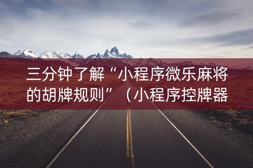 三分钟了解“小程序微乐麻将的胡牌规则”（小程序控牌器)