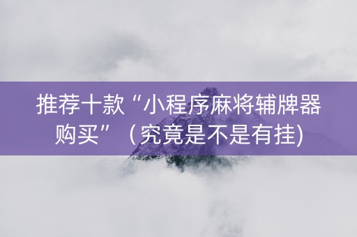 推荐十款“小程序麻将辅牌器购买”（究竟是不是有挂)