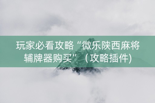 玩家必看攻略“微乐陕西麻将辅牌器购买”（攻略插件)