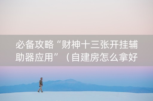 必备攻略“财神十三张开挂辅助器应用”（自建房怎么拿好牌)