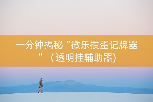 一分钟揭秘“微乐掼蛋记牌器”（透明挂辅助器)