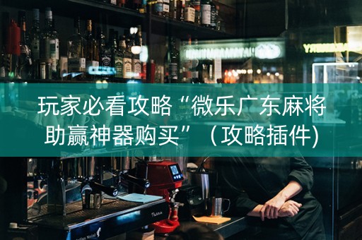 玩家必看攻略“微乐广东麻将助赢神器购买”（攻略插件)