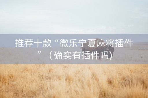 推荐十款“微乐宁夏麻将插件”（确实有插件吗)