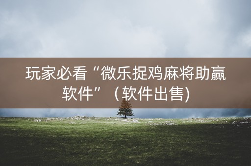 玩家必看“微乐捉鸡麻将助赢软件”（软件出售)