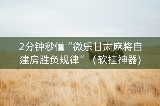 2分钟秒懂“微乐甘肃麻将自建房胜负规律”（软挂神器)
