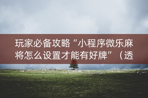 玩家必备攻略“小程序微乐麻将怎么设置才能有好牌”（透明挂辅助器)