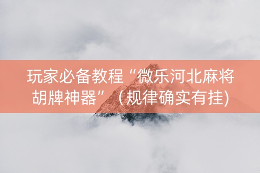 玩家必备教程“微乐河北麻将胡牌神器”（规律确实有挂)