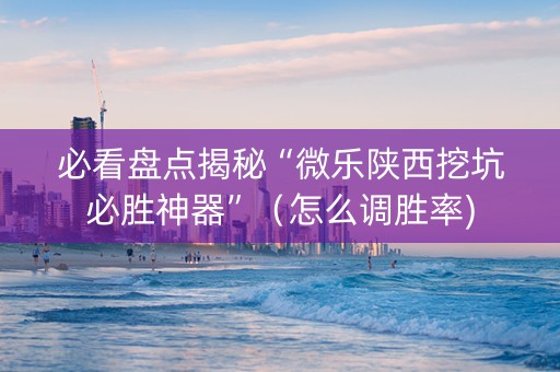 必看盘点揭秘“微乐陕西挖坑必胜神器”（怎么调胜率)