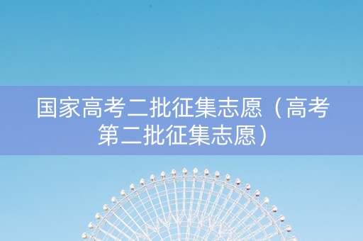国家高考二批征集志愿（高考第二批征集志愿）