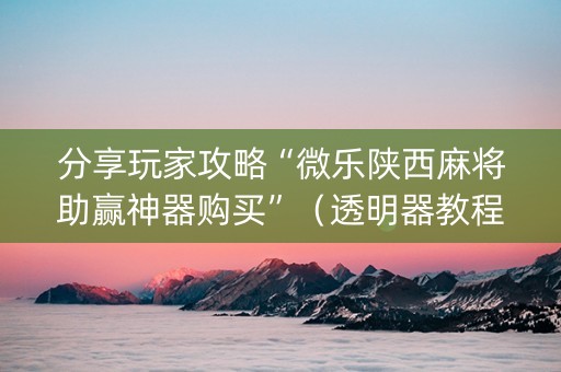 分享玩家攻略“微乐陕西麻将助赢神器购买”（透明器教程)