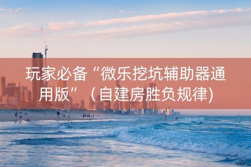 玩家必备“微乐挖坑辅助器通用版”（自建房胜负规律)