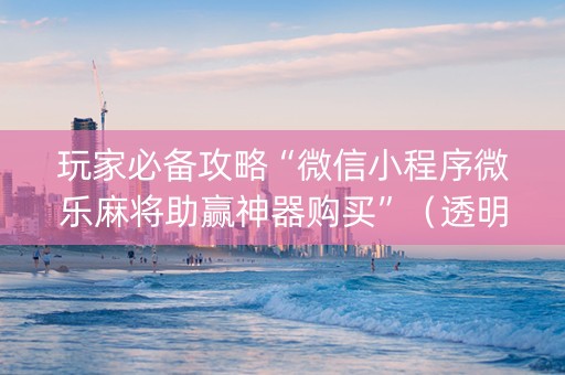 玩家必备攻略“微信小程序微乐麻将助赢神器购买”（透明挂辅助器)