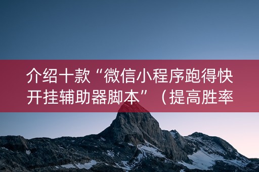 介绍十款“微信小程序跑得快开挂辅助器脚本”（提高胜率技巧)