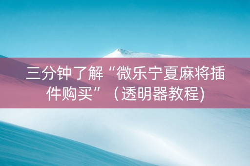 三分钟了解“微乐宁夏麻将插件购买”（透明器教程)