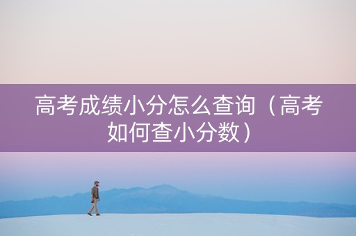高考成绩小分怎么查询（高考如何查小分数）