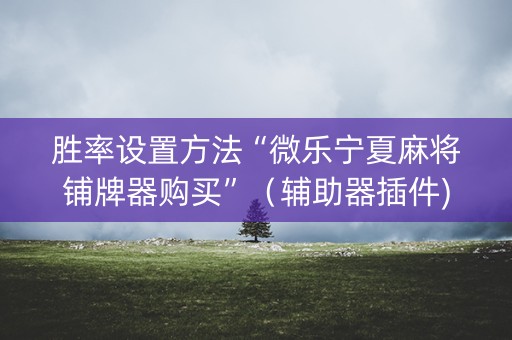 胜率设置方法“微乐宁夏麻将铺牌器购买”（辅助器插件)
