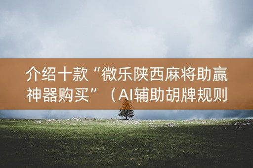 介绍十款“微乐陕西麻将助赢神器购买”（AI辅助胡牌规则)