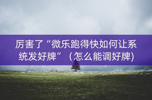 厉害了“微乐跑得快如何让系统发好牌”（怎么能调好牌)