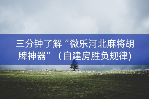 三分钟了解“微乐河北麻将胡牌神器”（自建房胜负规律)