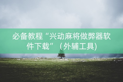 必备教程“兴动麻将做弊器软件下载”（外辅工具)