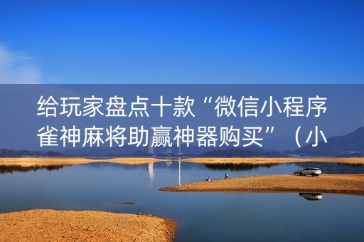 给玩家盘点十款“微信小程序雀神麻将助赢神器购买”（小程序必赢神器)