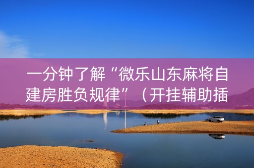一分钟了解“微乐山东麻将自建房胜负规律”（开挂辅助插件)