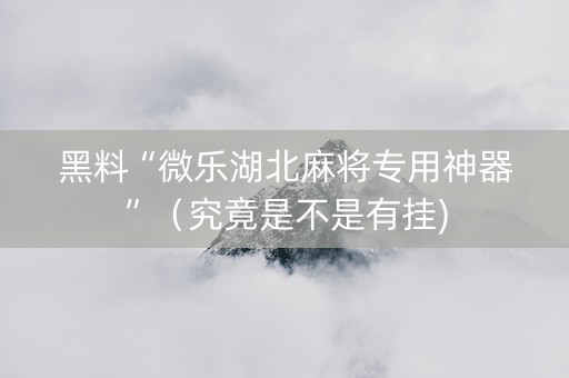黑料“微乐湖北麻将专用神器”（究竟是不是有挂)