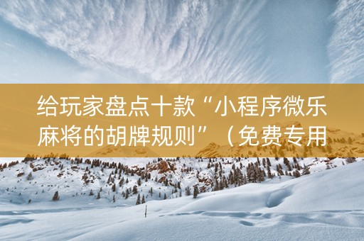 给玩家盘点十款“小程序微乐麻将的胡牌规则”（免费专用神器)