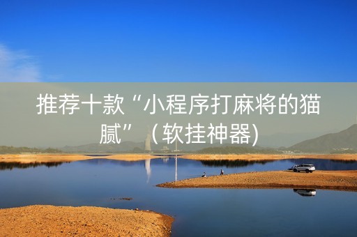 推荐十款“小程序打麻将的猫腻”（软挂神器)