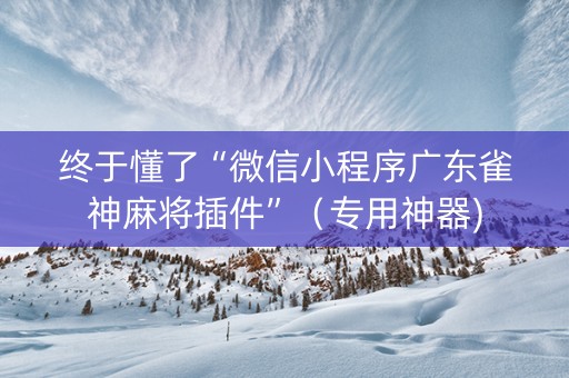 终于懂了“微信小程序广东雀神麻将插件”（专用神器)