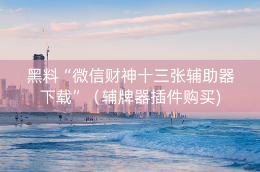 黑料“微信财神十三张辅助器下载”（辅牌器插件购买)