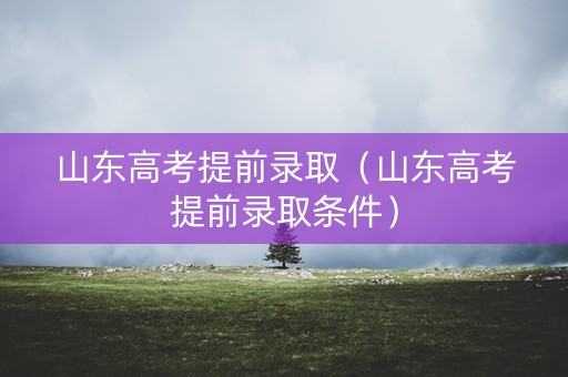 山东高考提前录取（山东高考提前录取条件）