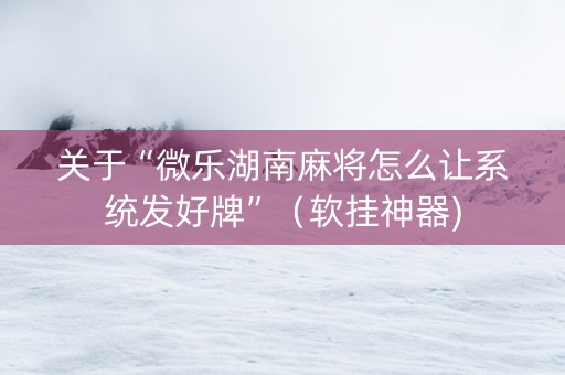 关于“微乐湖南麻将怎么让系统发好牌”（软挂神器)