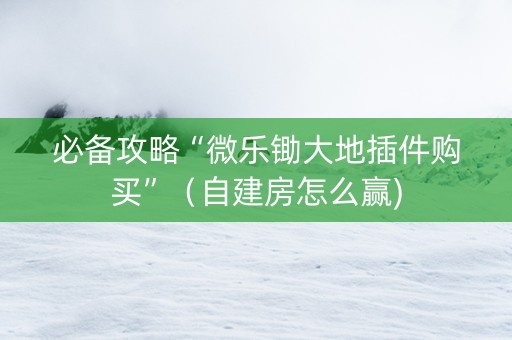 必备攻略“微乐锄大地插件购买”（自建房怎么赢)