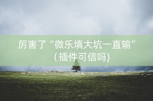 厉害了“微乐填大坑一直输”（插件可信吗)