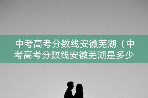 中考高考分数线安徽芜湖（中考高考分数线安徽芜湖是多少）