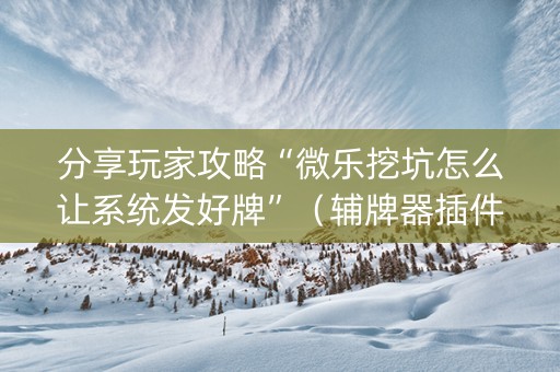 分享玩家攻略“微乐挖坑怎么让系统发好牌”（辅牌器插件购买)