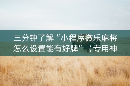 三分钟了解“小程序微乐麻将怎么设置能有好牌”（专用神器下载)