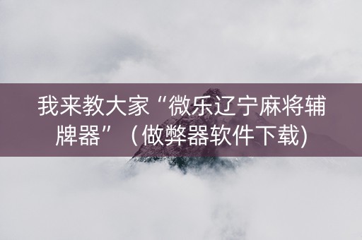 我来教大家“微乐辽宁麻将辅牌器”（做弊器软件下载)