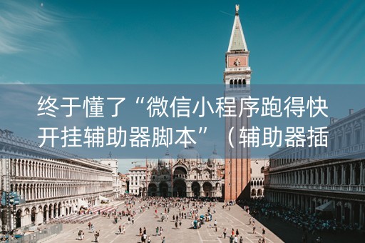 终于懂了“微信小程序跑得快开挂辅助器脚本”（辅助器插件)