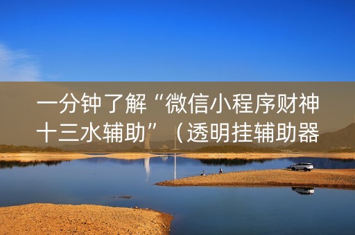 一分钟了解“微信小程序财神十三水辅助”（透明挂辅助器)