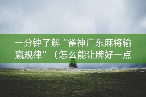 一分钟了解“雀神广东麻将输赢规律”（怎么能让牌好一点)