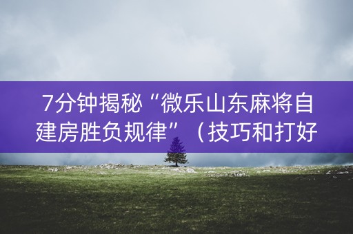 7分钟揭秘“微乐山东麻将自建房胜负规律”（技巧和打好牌方法)