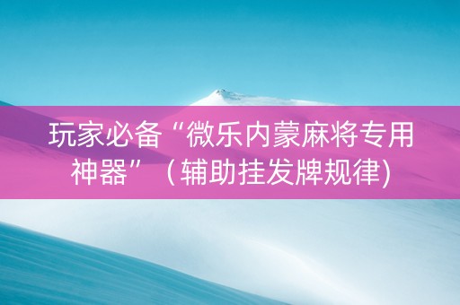 玩家必备“微乐内蒙麻将专用神器”（辅助挂发牌规律)