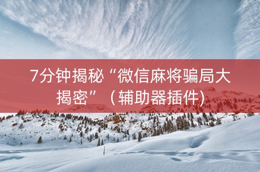7分钟揭秘“微信麻将骗局大揭密”（辅助器插件)