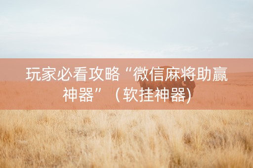 玩家必看攻略“微信麻将助赢神器”（软挂神器)